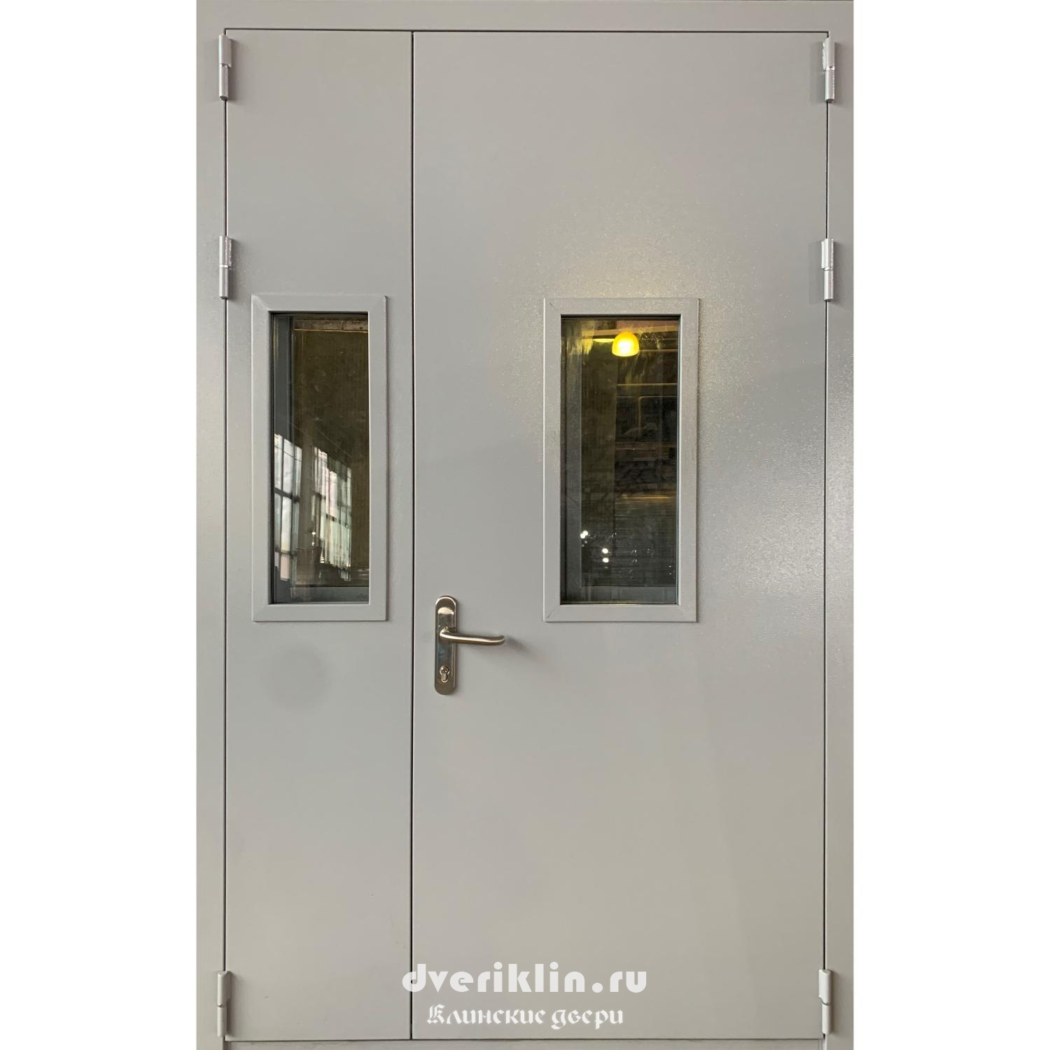 Техническая дверь TH-51 (Технические)